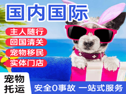 启阳航空托运国际宠物托运 【国